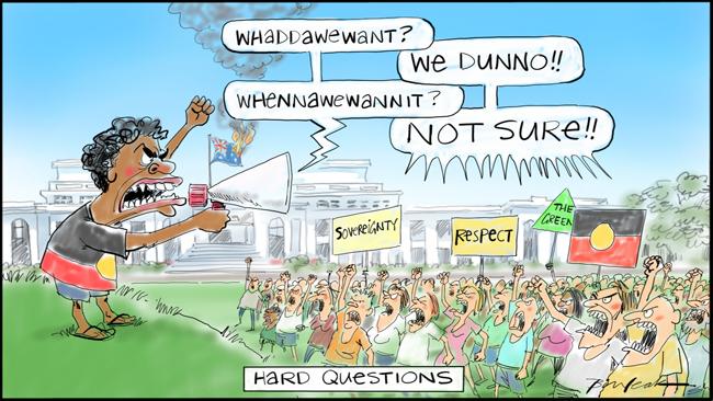 LeakB aboriginal protests.jpg